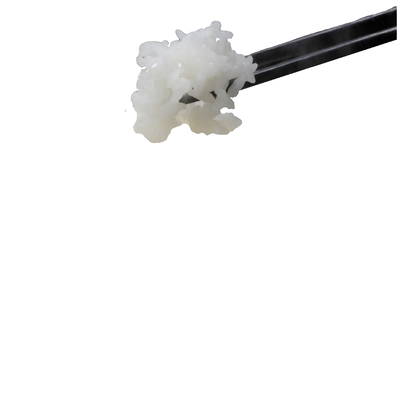 白いご飯を持ち上げるお箸