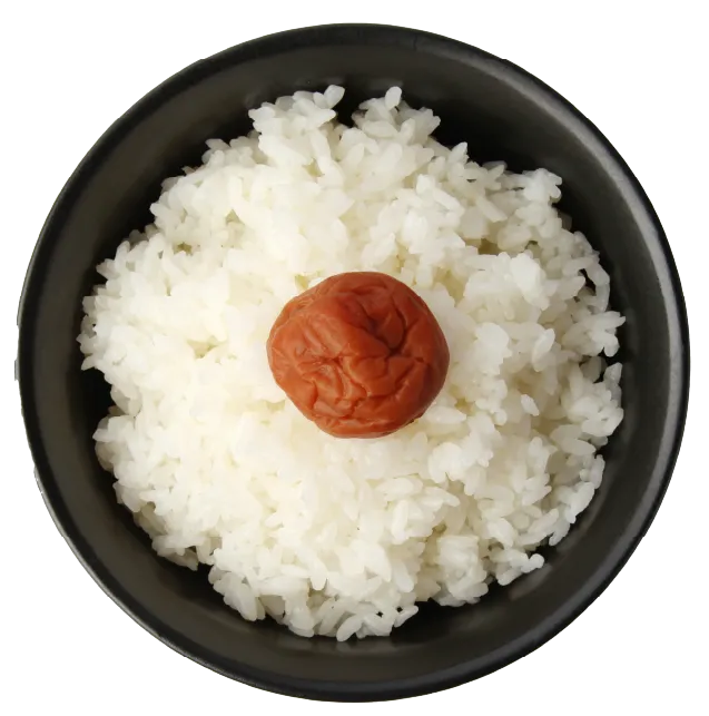 梅干しご飯
