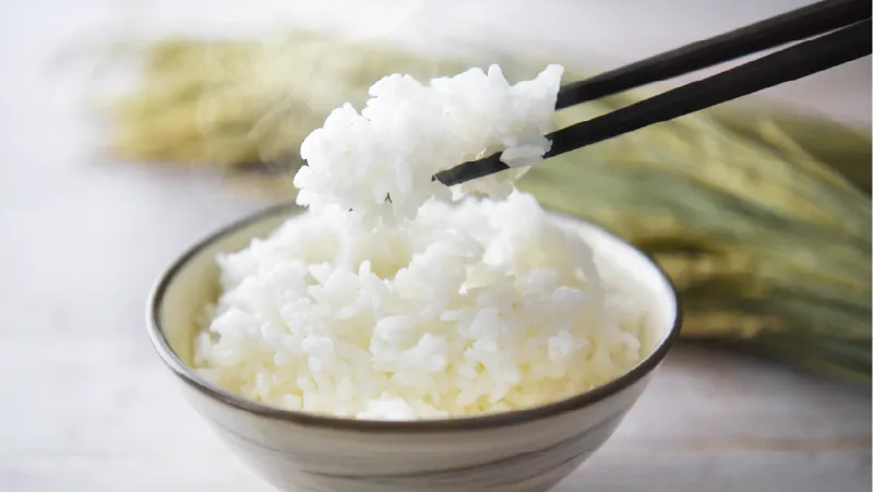 こしひかりイメージ